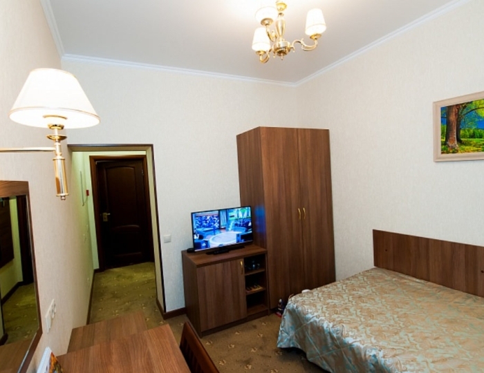 1-мест. станд. (вид на горы) - Санаторий «Предгорье Кавказа» Горячий Ключ